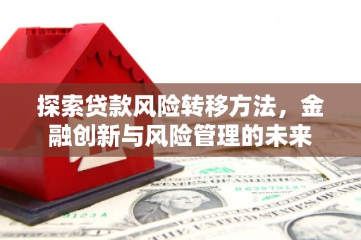 唐县探索贷款风险转移方法，金融创新与风险管理的未来