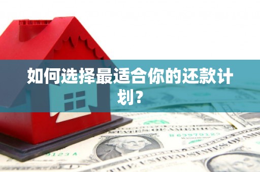 唐县如何选择最适合你的还款计划？
