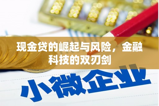 唐县现金贷的崛起与风险，金融科技的双刃剑