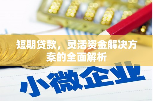 唐县短期贷款，灵活资金解决方案的全面解析
