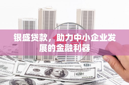 唐县银盛贷款，助力中小企业发展的金融利器