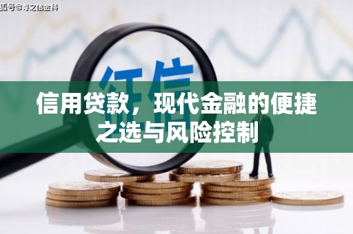 唐县信用贷款，现代金融的便捷之选与风险控制