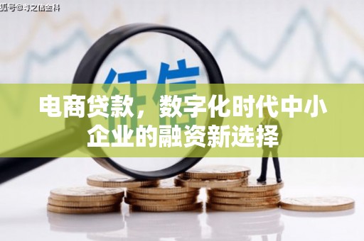 唐县电商贷款，数字化时代中小企业的融资新选择
