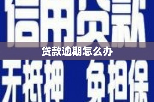 唐县贷款逾期怎么办