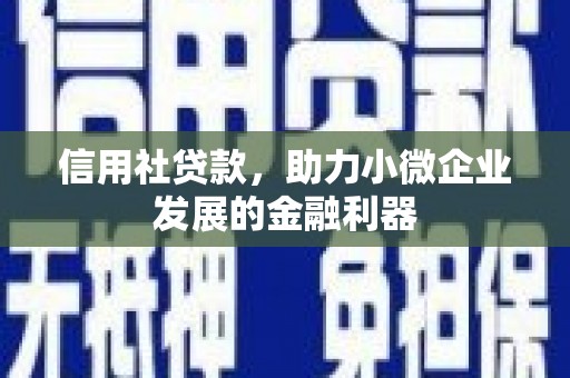 唐县信用社贷款，助力小微企业发展的金融利器