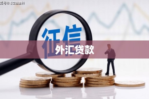 唐县外汇贷款