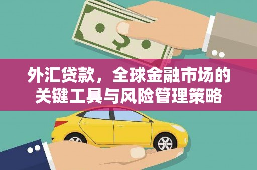 唐县外汇贷款，全球金融市场的关键工具与风险管理策略
