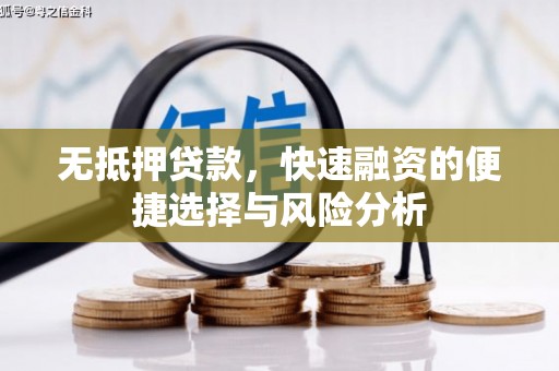 唐县无抵押贷款，快速融资的便捷选择与风险分析