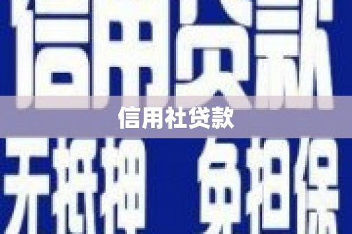 唐县信用社贷款