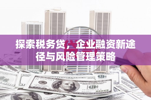 唐县探索税务贷，企业融资新途径与风险管理策略