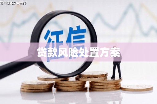 唐县贷款风险处置方案