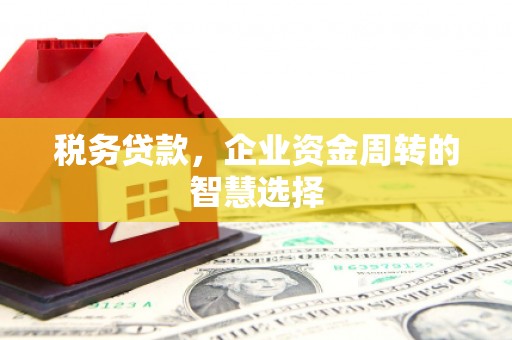 唐县税务贷款，企业资金周转的智慧选择