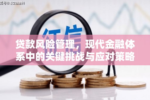 唐县贷款风险管理，现代金融体系中的关键挑战与应对策略