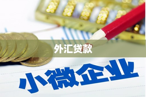 唐县外汇贷款