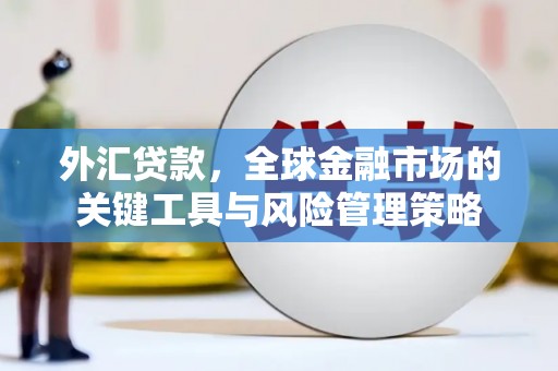 唐县外汇贷款，全球金融市场的关键工具与风险管理策略