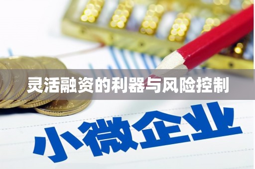 唐县灵活融资的利器与风险控制