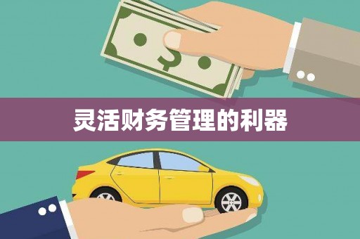 唐县灵活财务管理的利器