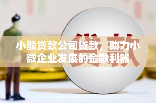 唐县小额贷款公司贷款，助力小微企业发展的金融利器