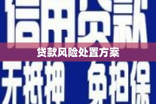 唐县贷款风险处置方案