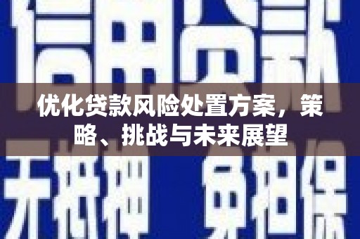 唐县优化贷款风险处置方案，策略、挑战与未来展望