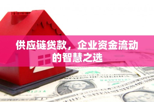 唐县供应链贷款，企业资金流动的智慧之选