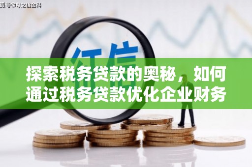 唐县探索税务贷款的奥秘，如何通过税务贷款优化企业财务