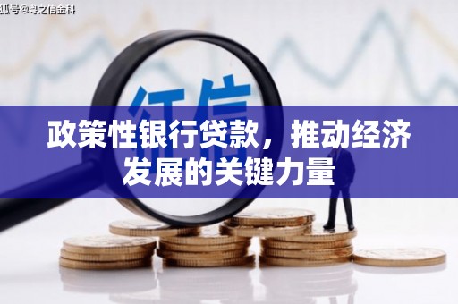 唐县政策性银行贷款，推动经济发展的关键力量