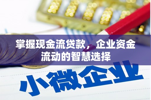 唐县掌握现金流贷款，企业资金流动的智慧选择