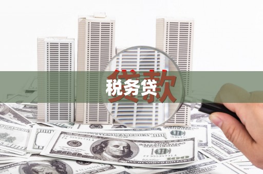 唐县税务贷