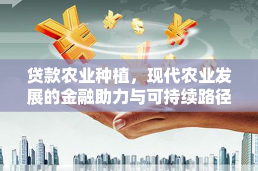 唐县贷款农业种植，现代农业发展的金融助力与可持续路径