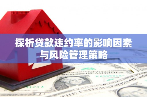 唐县探析贷款违约率的影响因素与风险管理策略