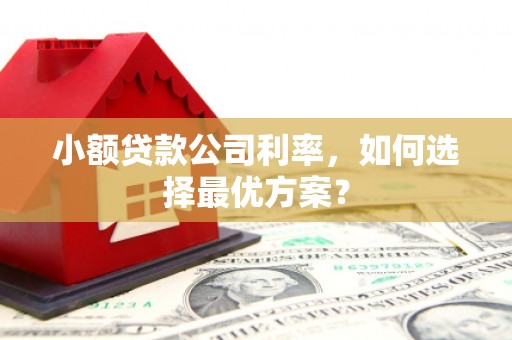 唐县小额贷款公司利率，如何选择最优方案？