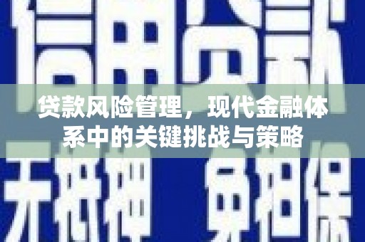 唐县贷款风险管理，现代金融体系中的关键挑战与策略