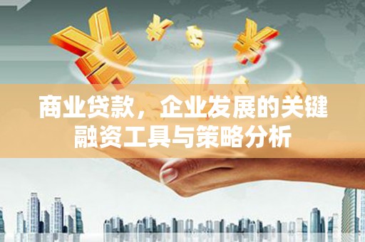 唐县商业贷款，企业发展的关键融资工具与策略分析