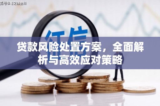 唐县贷款风险处置方案，全面解析与高效应对策略