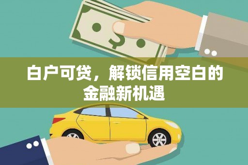 唐县白户可贷，解锁信用空白的金融新机遇