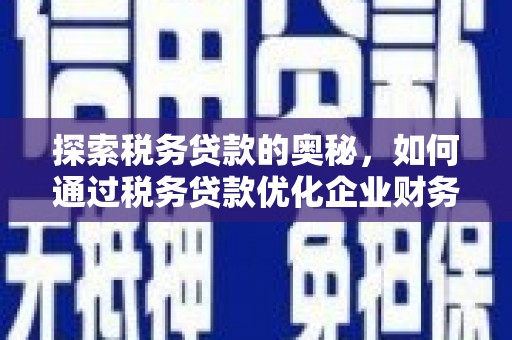 唐县探索税务贷款的奥秘，如何通过税务贷款优化企业财务