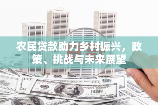 唐县农民贷款助力乡村振兴，政策、挑战与未来展望