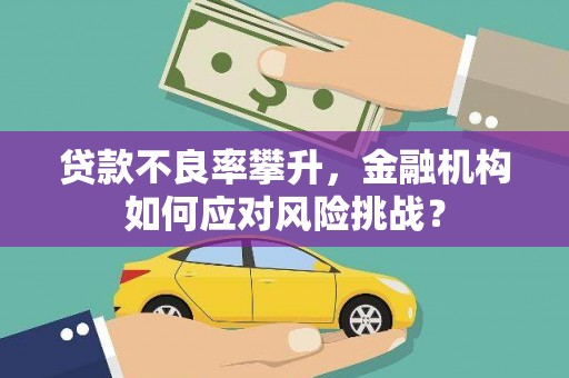 唐县贷款不良率攀升，金融机构如何应对风险挑战？