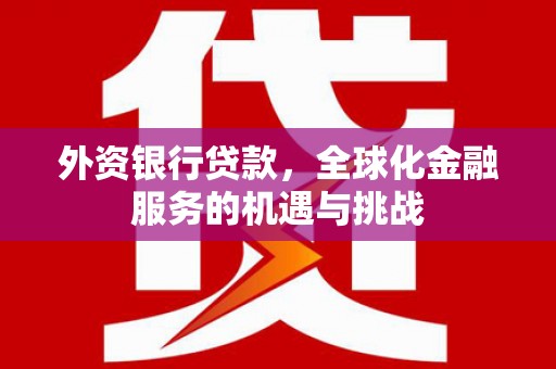 唐县外资银行贷款，全球化金融服务的机遇与挑战