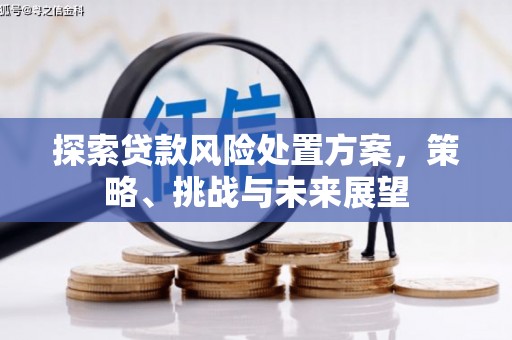 唐县探索贷款风险处置方案，策略、挑战与未来展望