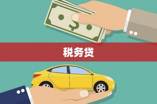唐县税务贷