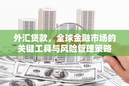 唐县外汇贷款，全球金融市场的关键工具与风险管理策略