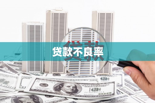 唐县贷款不良率