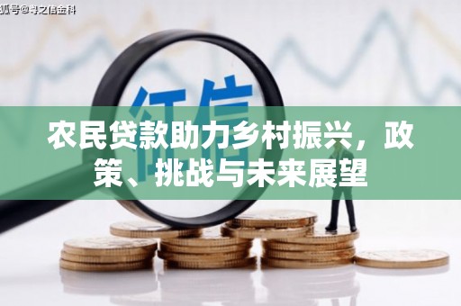 唐县农民贷款助力乡村振兴，政策、挑战与未来展望