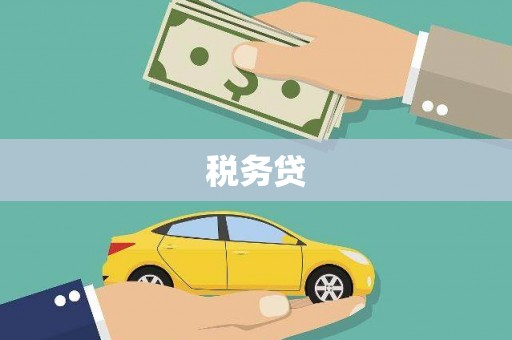 唐县税务贷