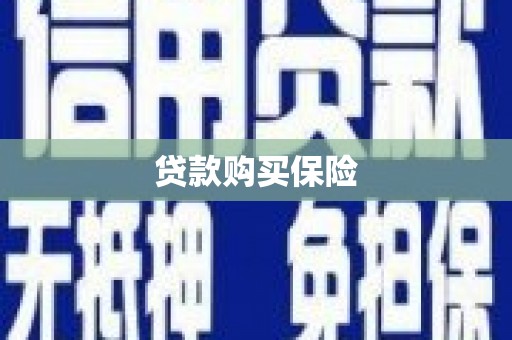 唐县贷款购买保险