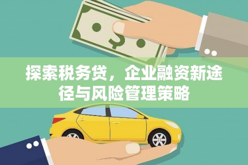 唐县探索税务贷，企业融资新途径与风险管理策略