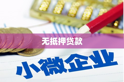 唐县无抵押贷款