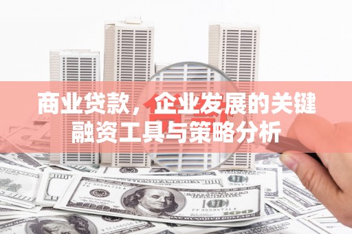唐县商业贷款，企业发展的关键融资工具与策略分析